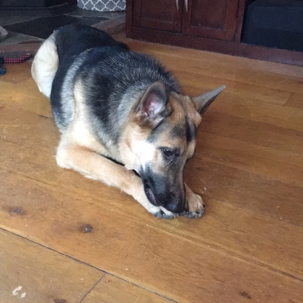 Meet your Posher, Dianediane